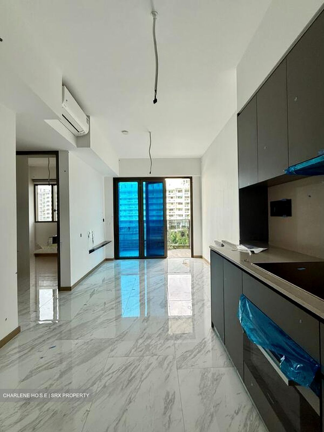 The Landmark (D3), Condominium #518127121